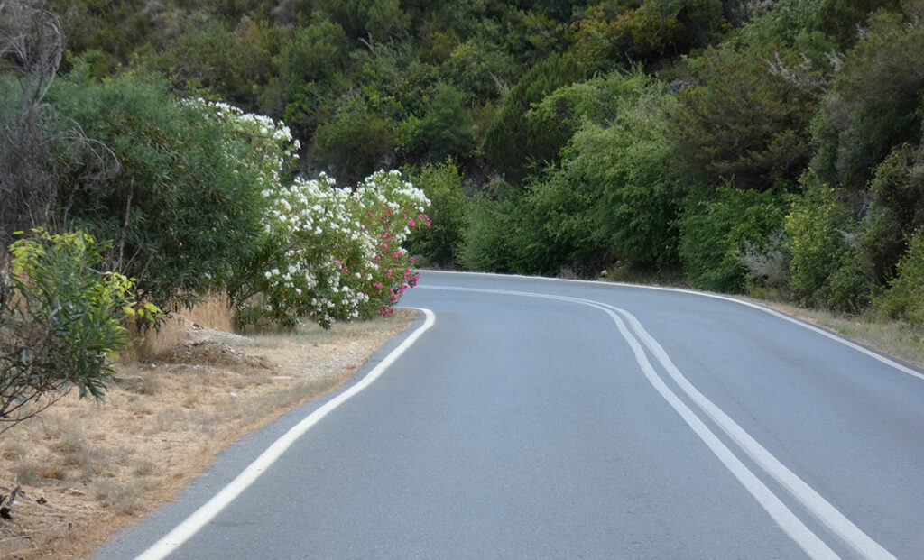 Επαρχιακή Οδός Άστρους Λεωνιδίου (1)